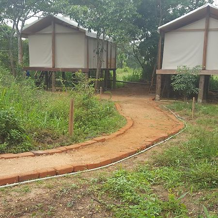 Asharo Sigiriya Villa Eksteriør billede