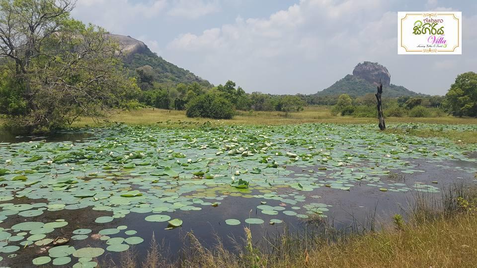 Asharo Sigiriya Villa Eksteriør billede
