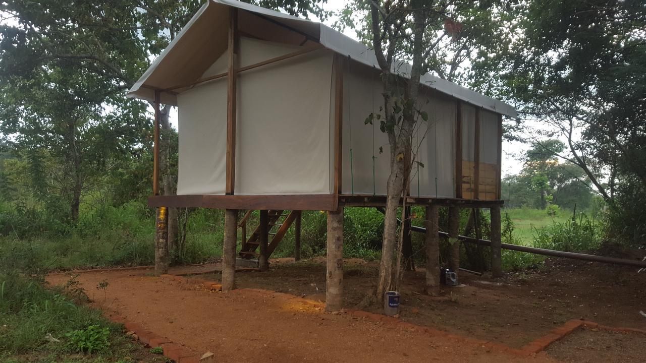 Asharo Sigiriya Villa Eksteriør billede